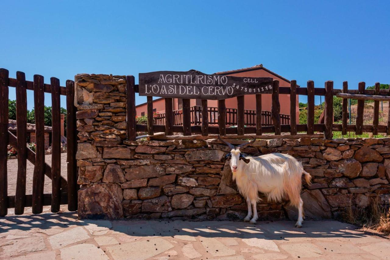 L'oasi Del Cervo Arbus